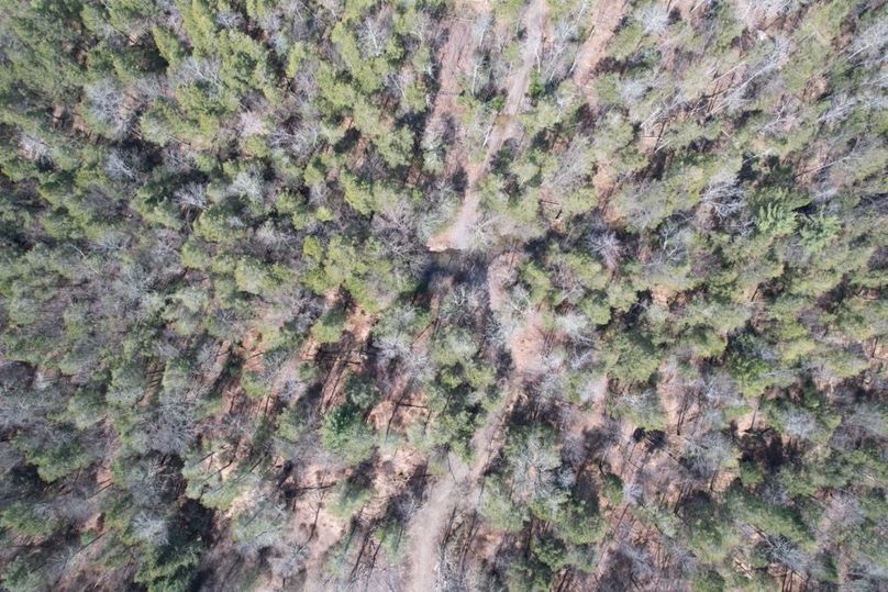 dji_fly_20260330_124748_556_1775656612570_photo