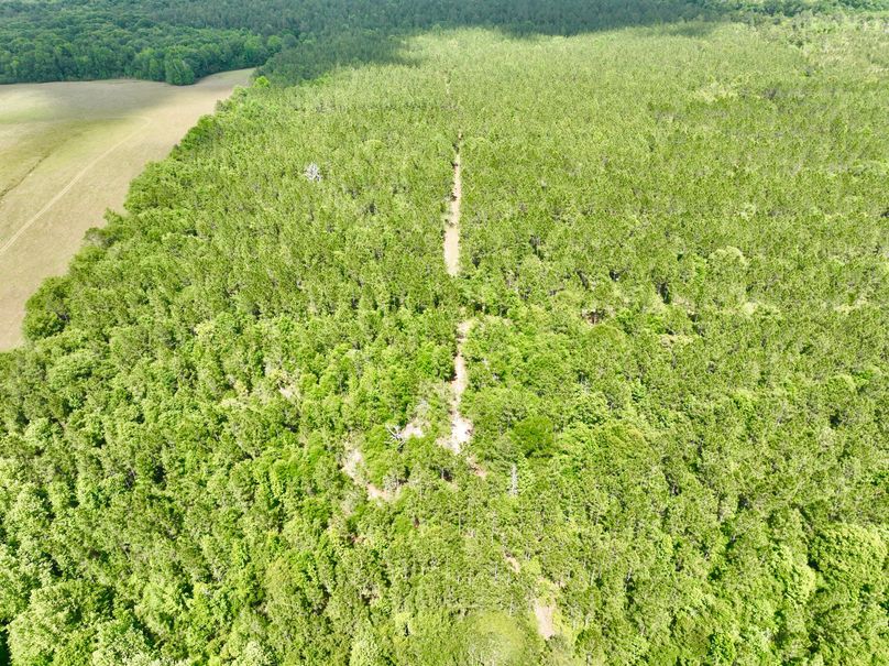 dji_fly_20230426_150702_316_1682536368140_photo