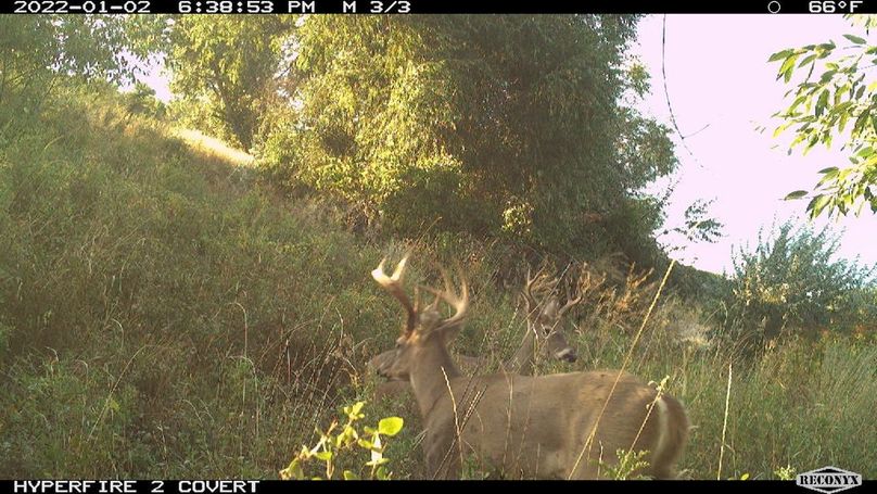 #1Trail cam