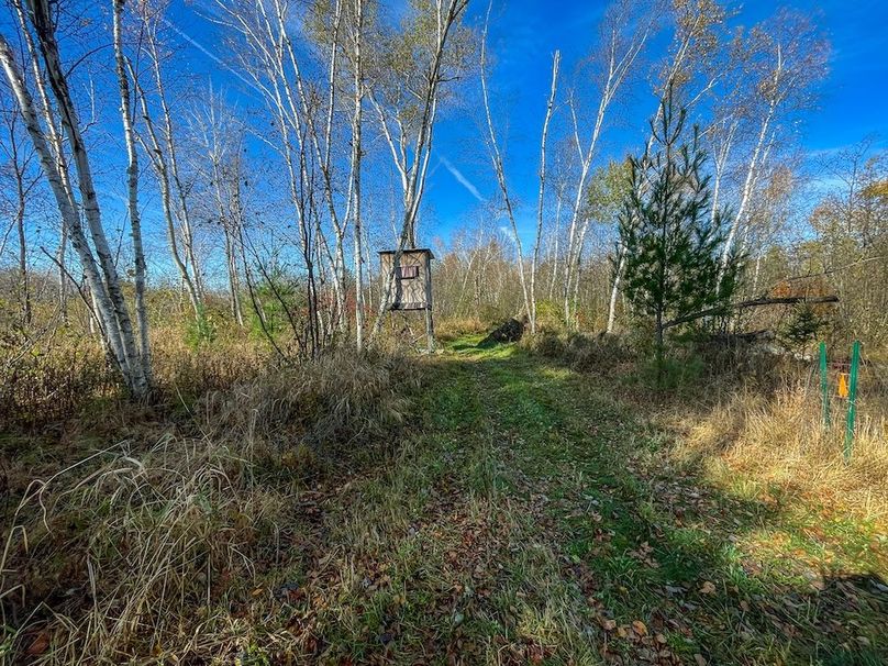 Clark 24.75 Winkel -22