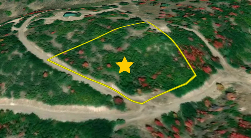 Screen Shot 2024-07-09 at 1.46.24 AM