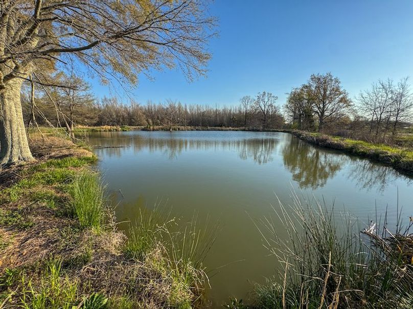 Panola 164.7 SPI Land Ventures-65