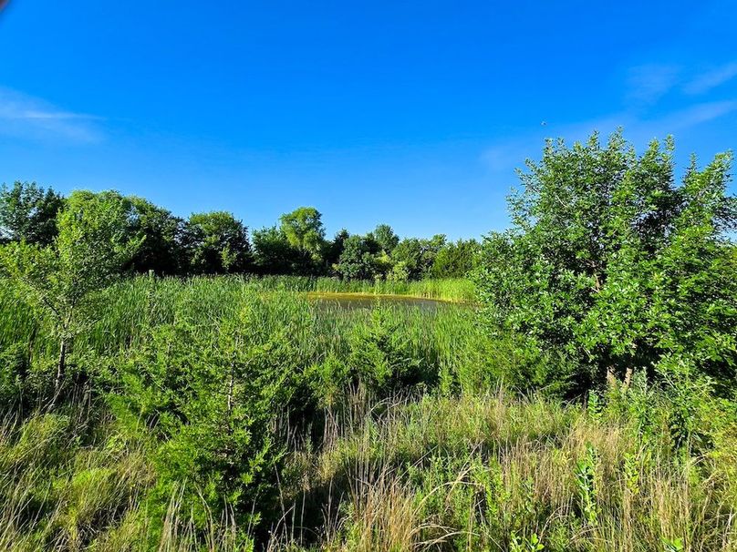 Copy of 20250729_082833