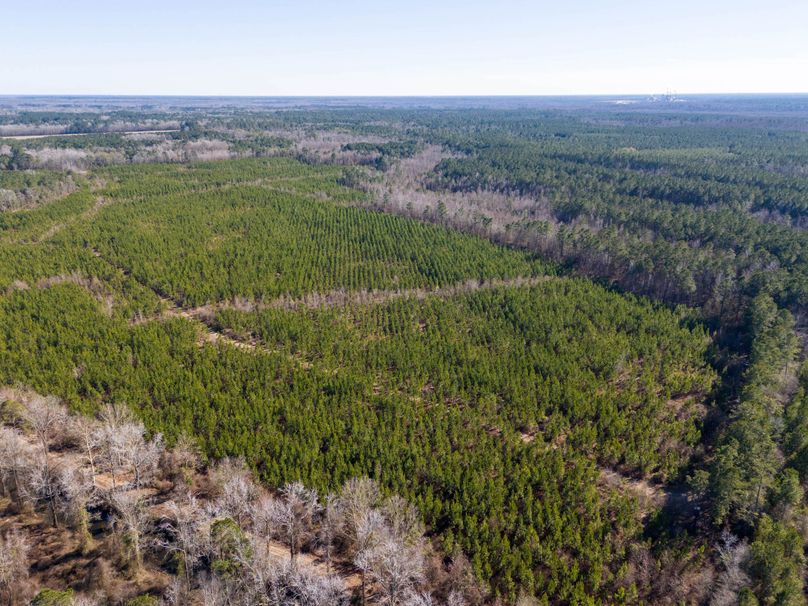 Pender NC 382 - Edits-46