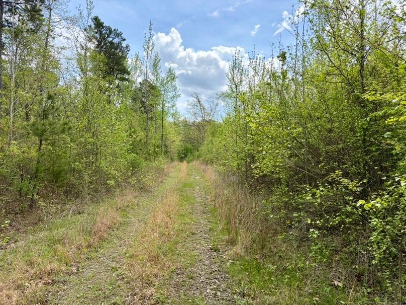 DE8E0205-CE45-45F7-B13A-0FD6DC54E159_1_105_c-2