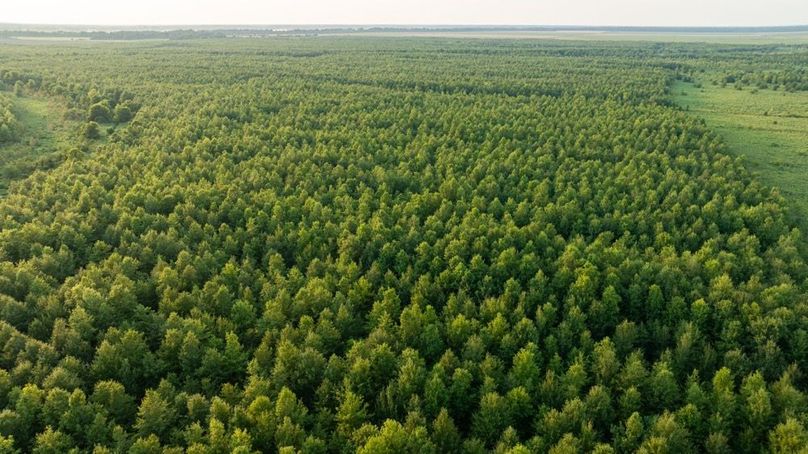 MadisonParLa1372-075