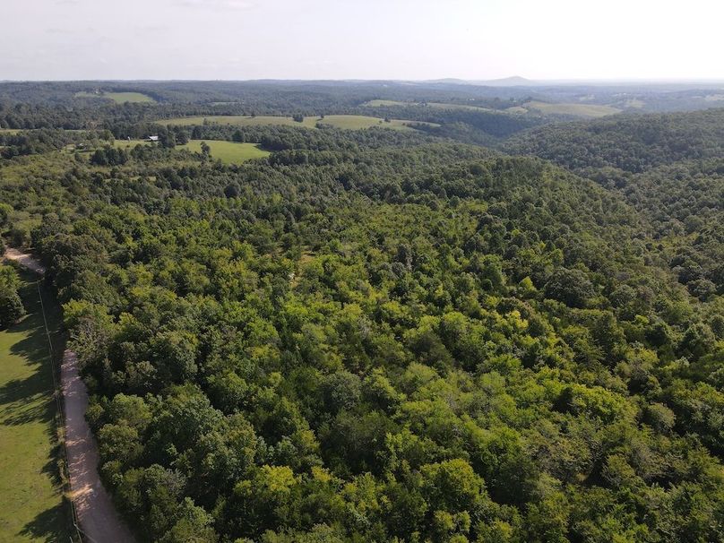 dji_fly_20240808_095330_302_1723128847148_photo