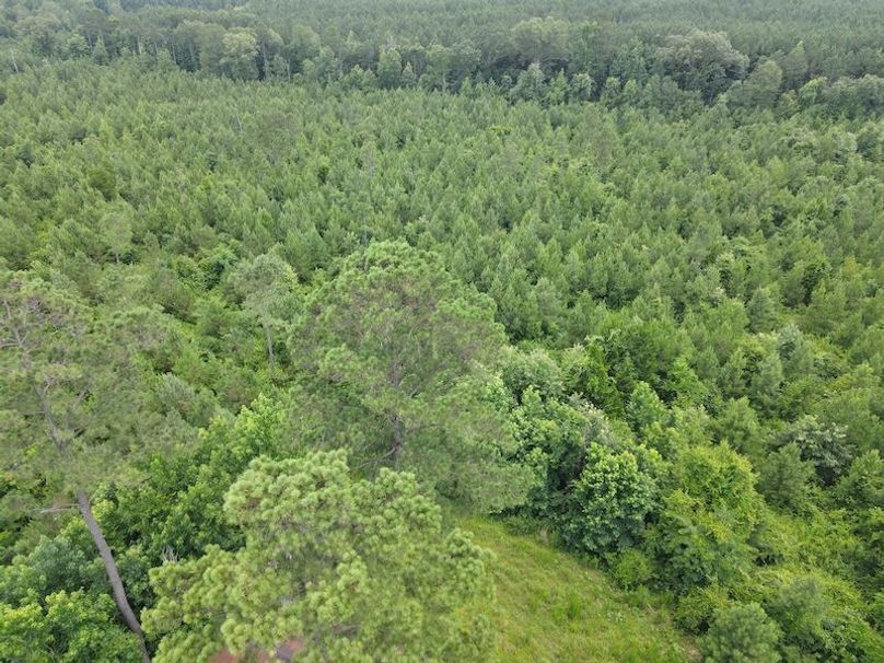 DJI_0359