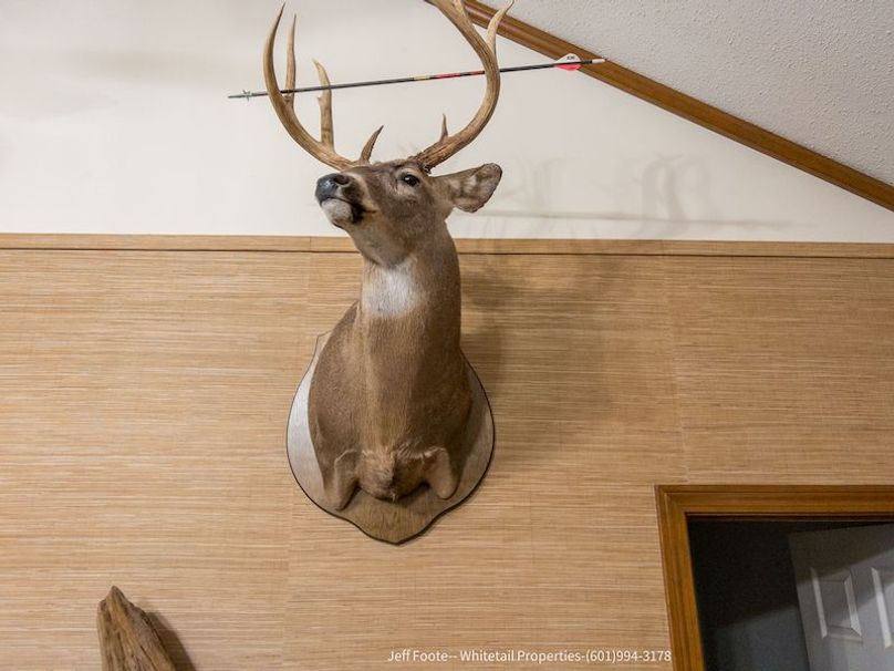 Hinds Co - 39.98 - M Beasley-21