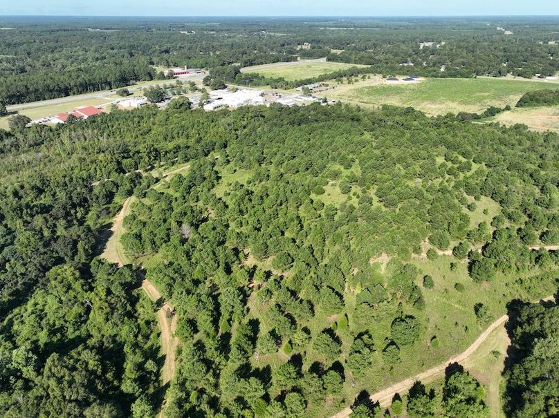 dji_fly_20240827_095200_734_1724766988200_photo