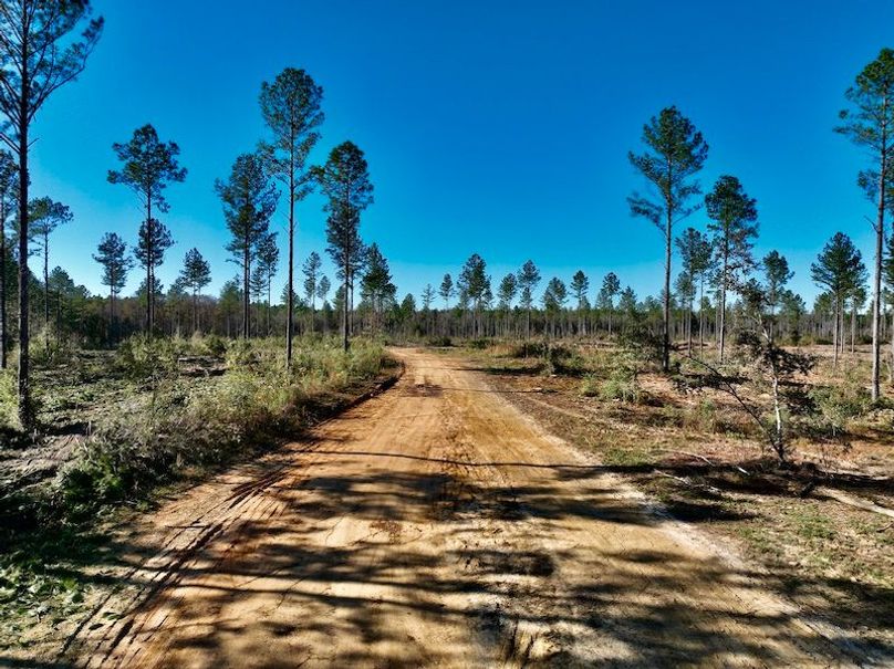 6DF6948C-23E2-4573-8440-2C3043634D8E_1_201_a