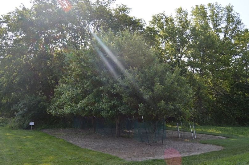 Orchard