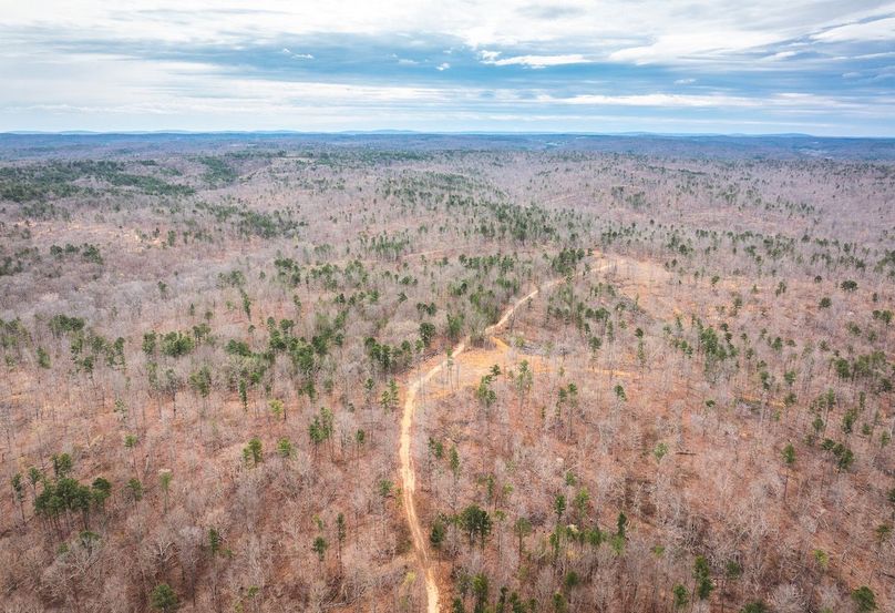 DJI_20250403121008_0579_D