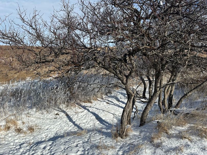 B8928B2B-1438-485C-8A71-182E74587466_1_105_c