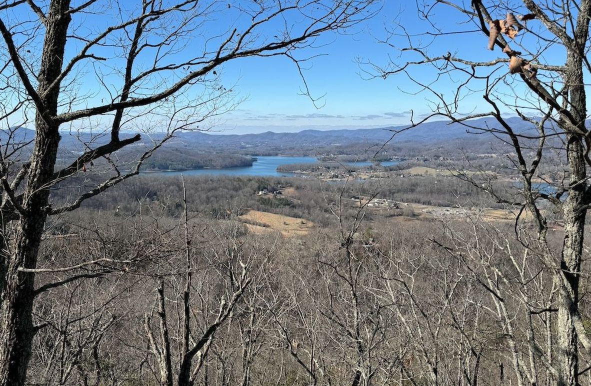 02_Clay 124.76 Fleaback-18