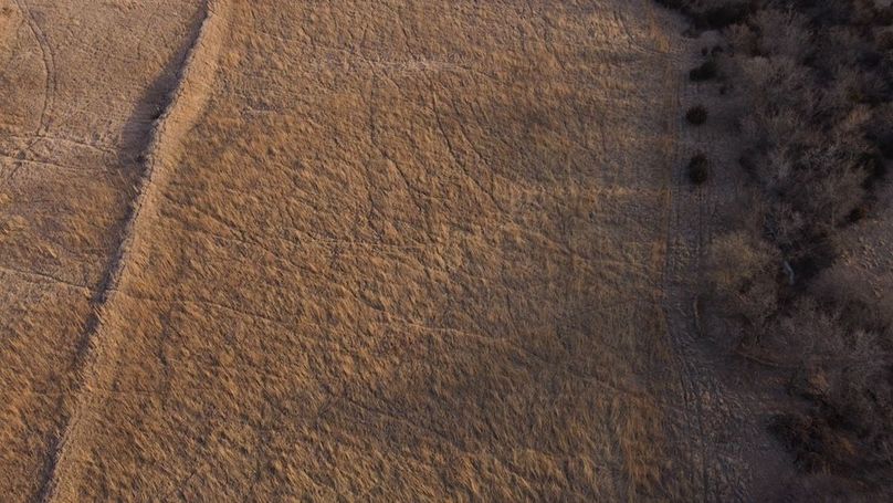 MONTGOMERY CO IA 156.78_19