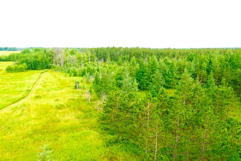 9BB24BAE-D07F-4301-8D45-B65DDF96558F_1_105_c