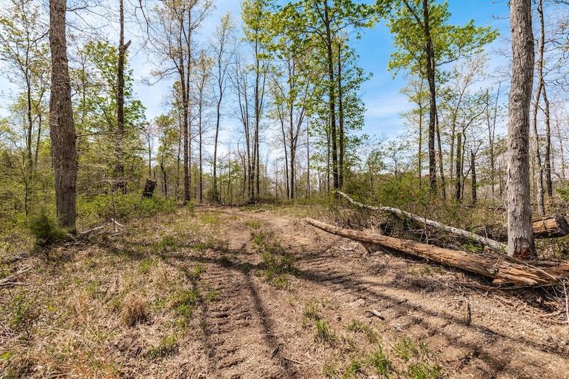 52-web-or-mls-0 Mound Creek Rd-22