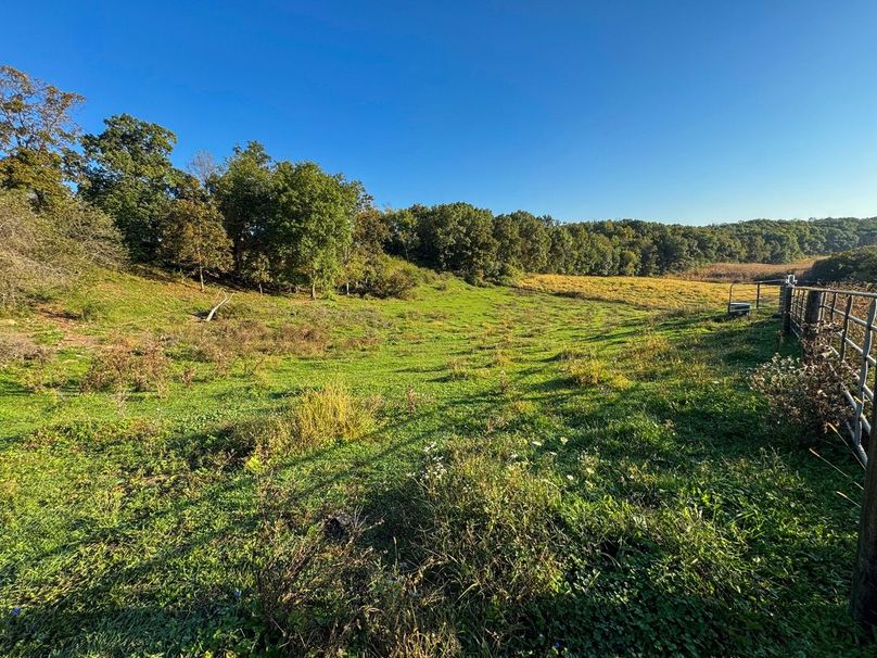 Monroe 5.31-09 Large