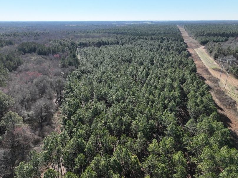 dji_fly_20240207_103448_38_1707320809510_photo