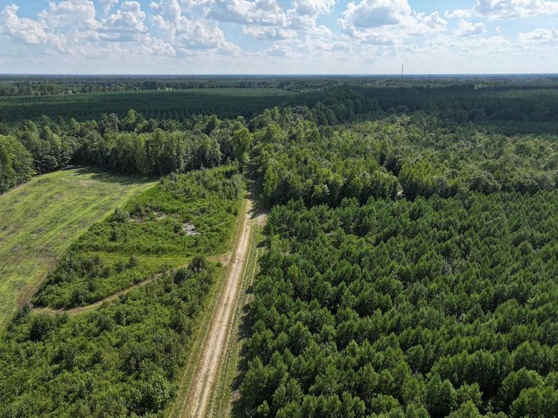 DJI_20240820163519_0007_D