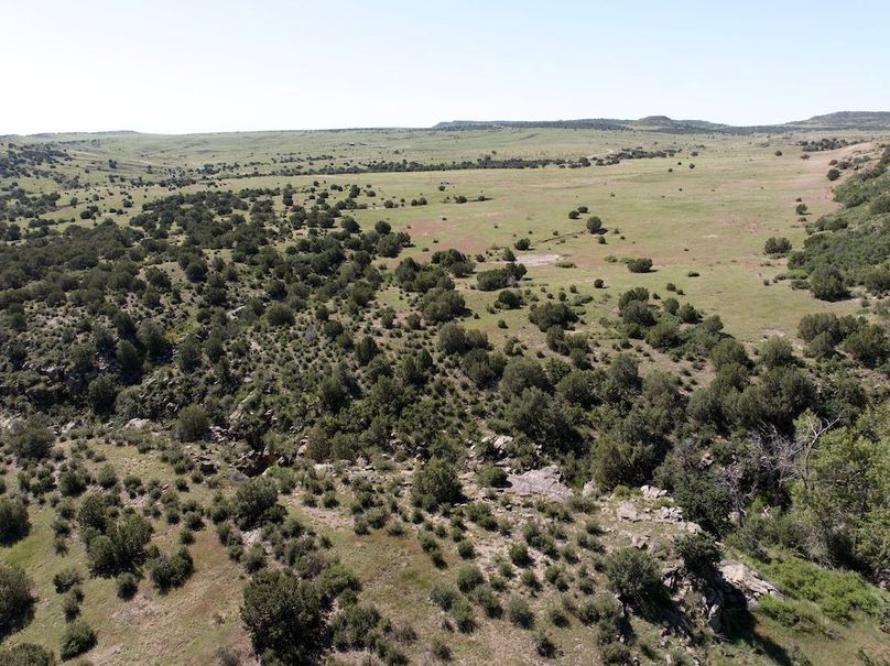 DJI_20250619093410_0018_D