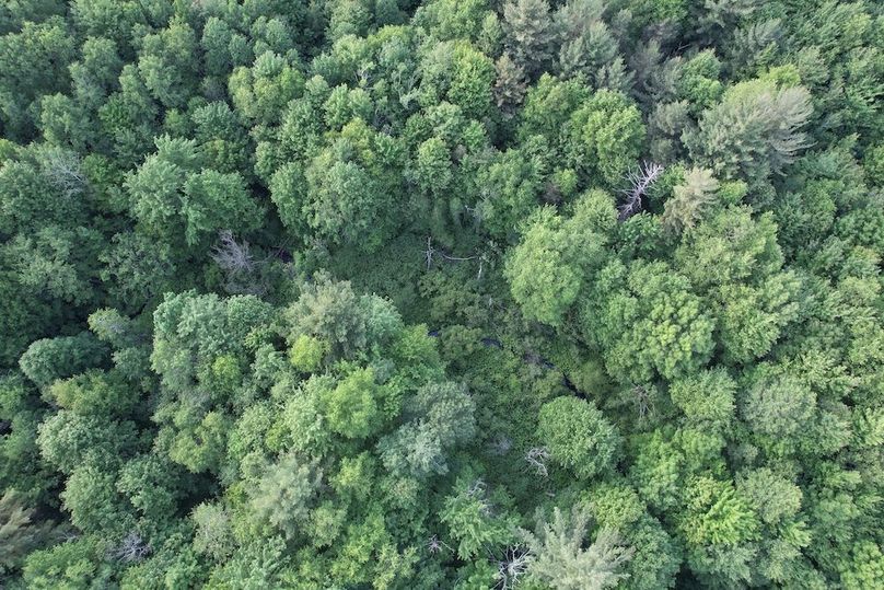 Jefferson_260.3_ Lobach_Photos_42