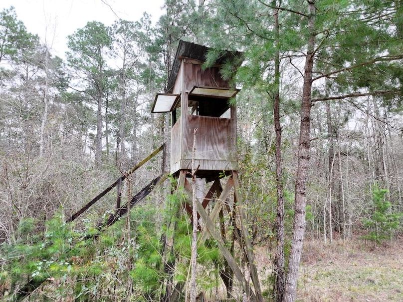 dji_fly_20260123_130936_0933_1769444778258_photo