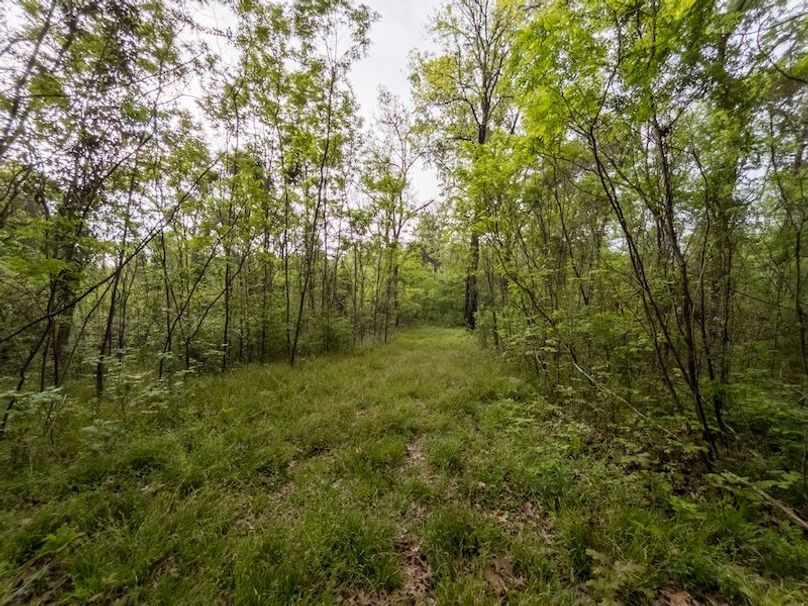 Claiborne Co-314-Fernandez-80