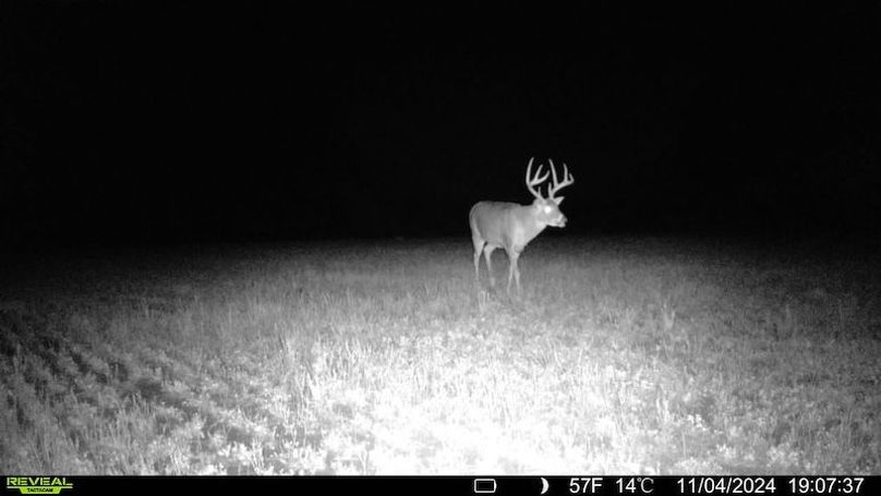 TRAIL CAM 18
