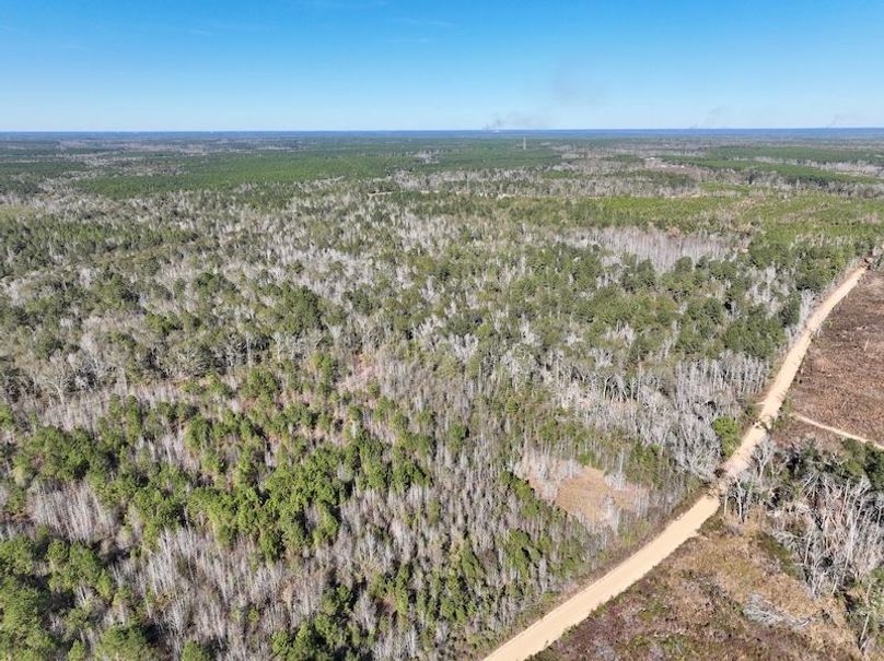 dji_fly_20251128_132954_20_1764354900663_photo