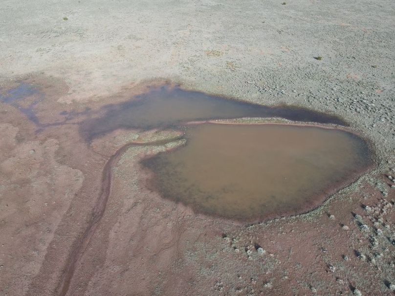 dji_fly_20240504_081132_349_1714831995108_photo