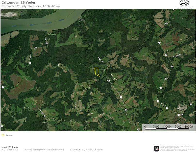 Crittenden 16 airplane