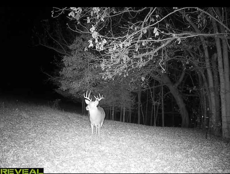 Screenshot 2024-03-03 at 7.11.21 PM