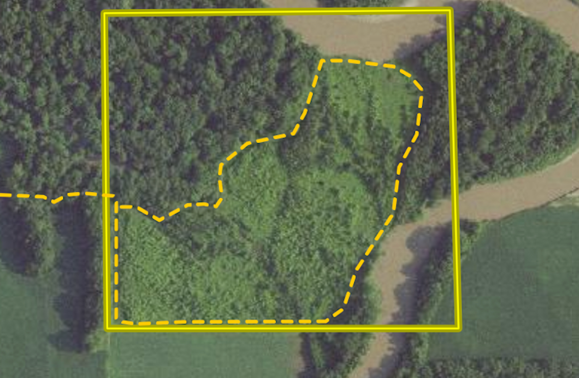 1 Screenshot 2024-08-19