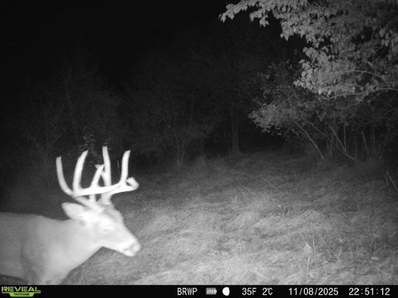 860322065924133-100-4-11082025225112-W1000711