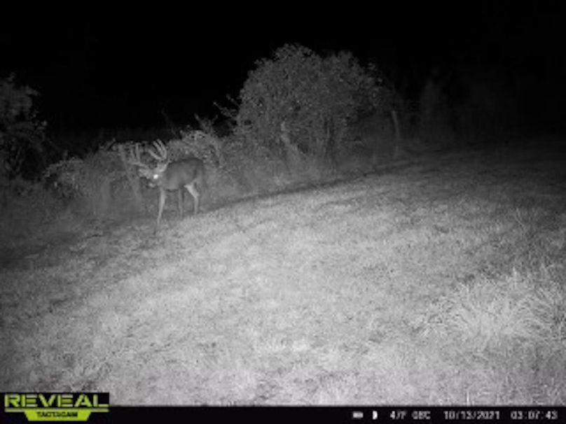 102297c0-d177-453c-ba79-59afddd3de87