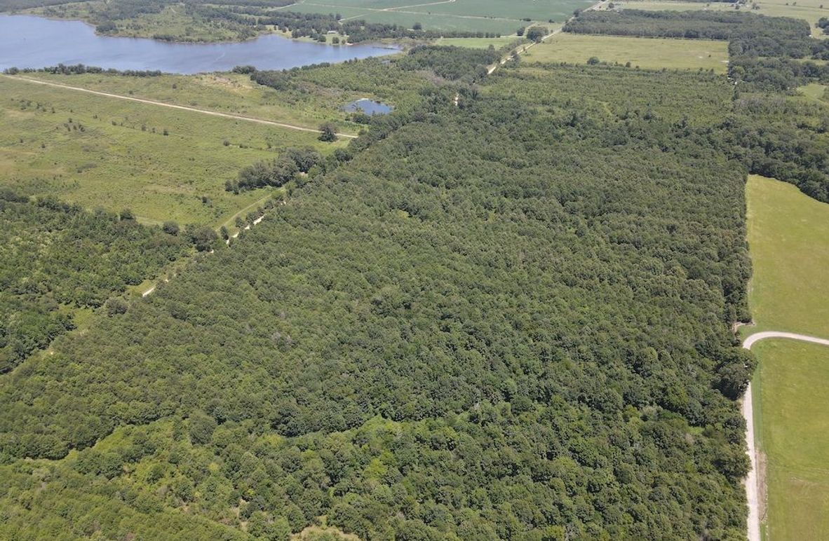 dji_fly_20240730_133526_225_1722364572573_photo