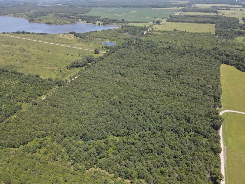 dji_fly_20240730_133526_225_1722364572573_photo