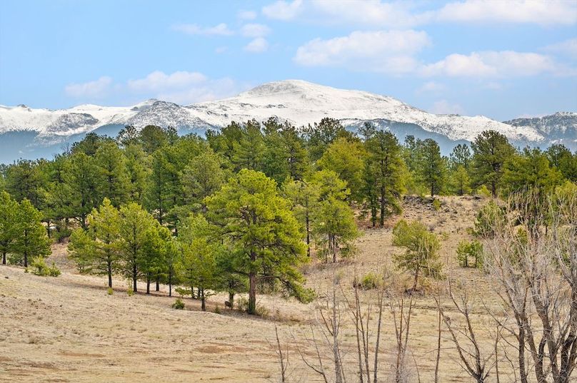 050 Pikes Peak View