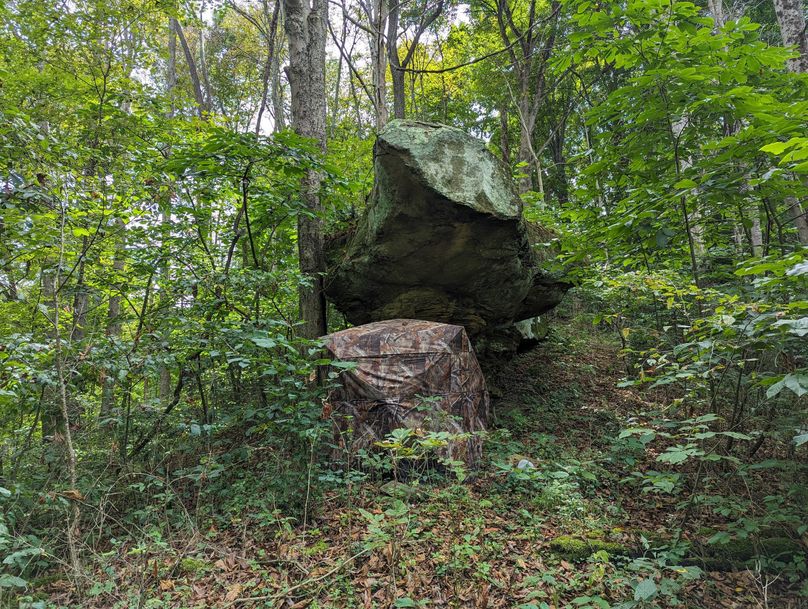 PXL_20230908_180804466