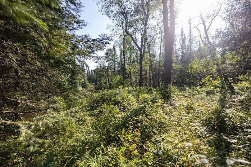 Mackinac 320 Copenhaver-70