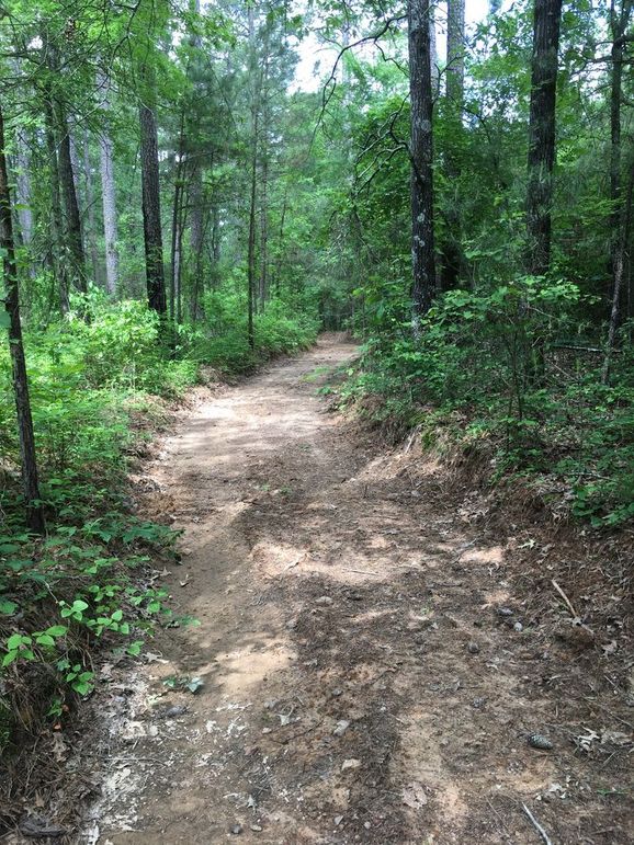 B3989047-CDC6-4EF8-8917-B5B685FB6173_1_105_c