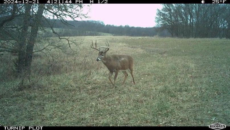 Copy of Copy of 1-5505585530