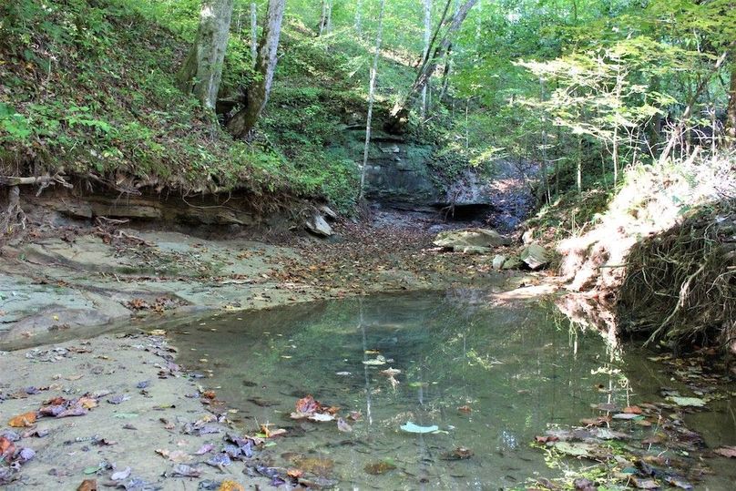 003 Georges Branch creek flowing through the property
