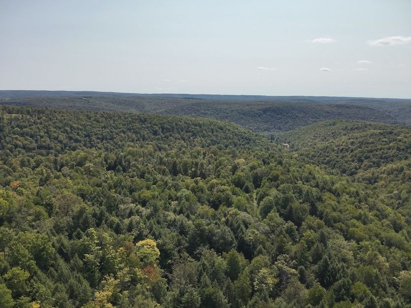 12 DJI_20250909131937_0004_V