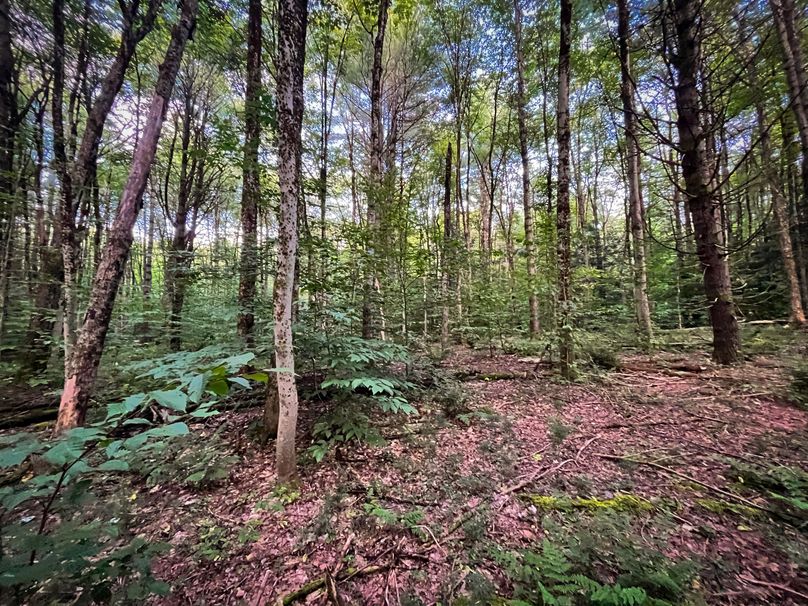 Oswego_30_RouselandInvestments_LLC_Photos_22