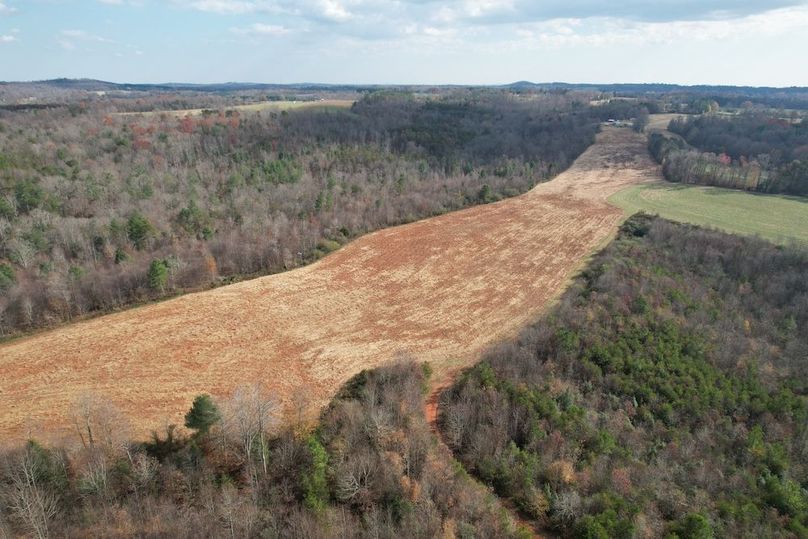 dji_fly_20251120_024432_949_1763686292535_photo