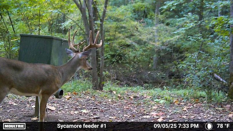 Fleming Petry 115-17