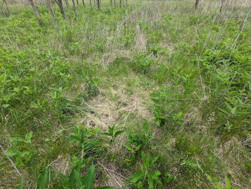 PXL_20240515_154634053